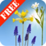 Logo of Spring Meadow Free android Application 