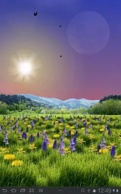 Spring Meadow Free android App screenshot 1